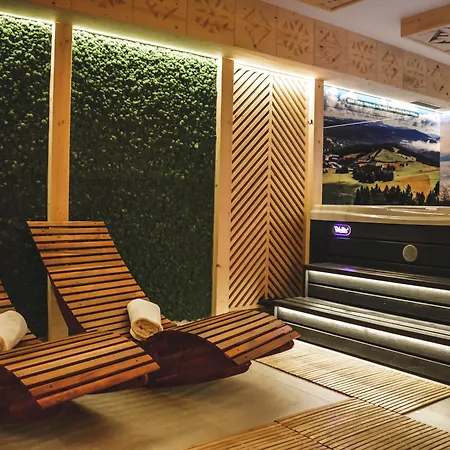 Wichrowe Wzgorze Alpesi faház Krynica Zdrój